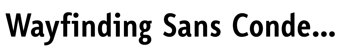 Wayfinding Sans Condensed Bold